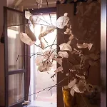 La Casa Degli Archi 佩萨罗