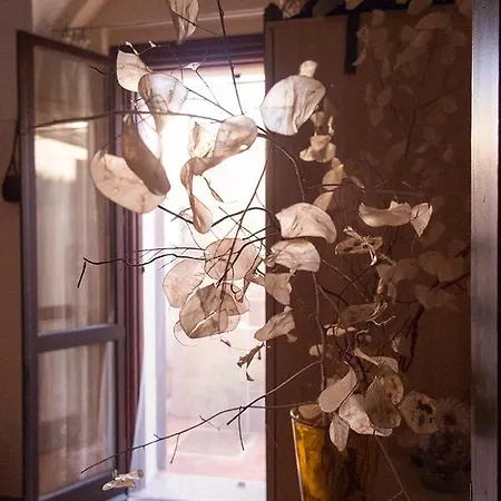 La Casa Degli Archi Pesaro